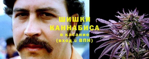 дурь Лиски