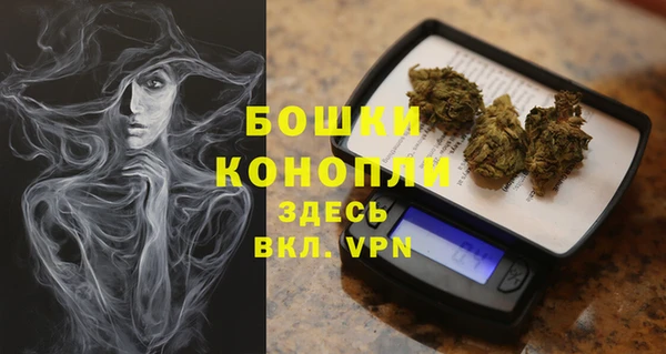 дурь Лиски