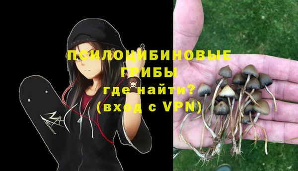соль ск Ладушкин